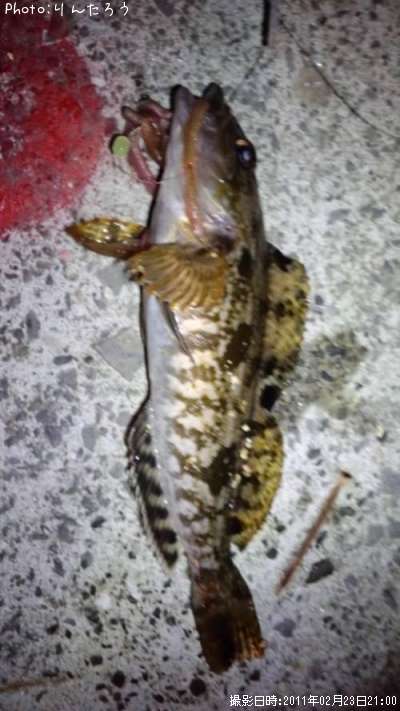 �����ʥ�