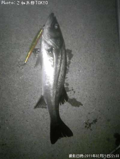 �����Х�