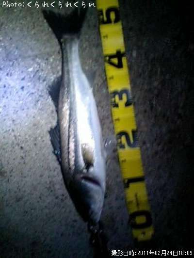 �����Х�