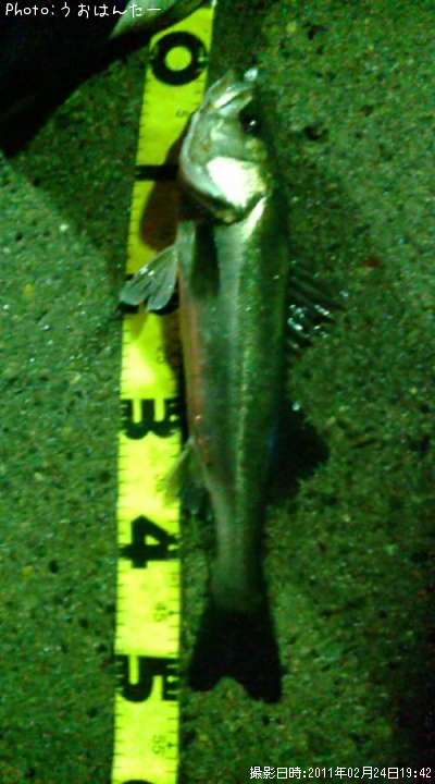 �����Х�