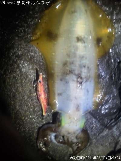 �����ꥤ��