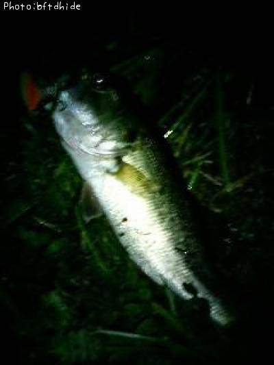 �֥�å��Х�