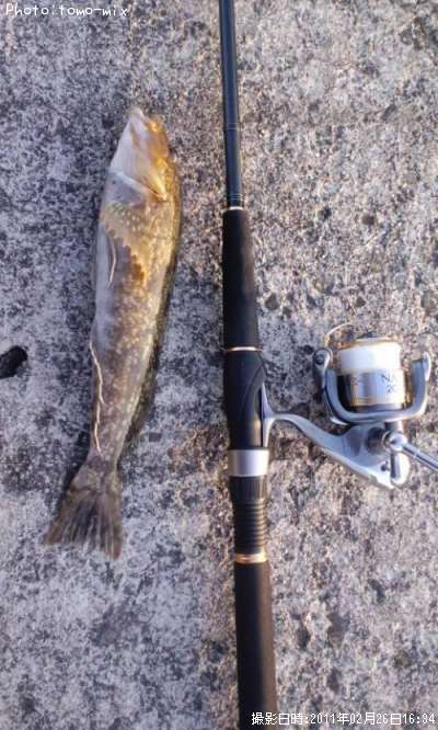 �����ʥ�