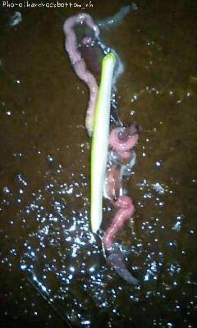 �����Х�