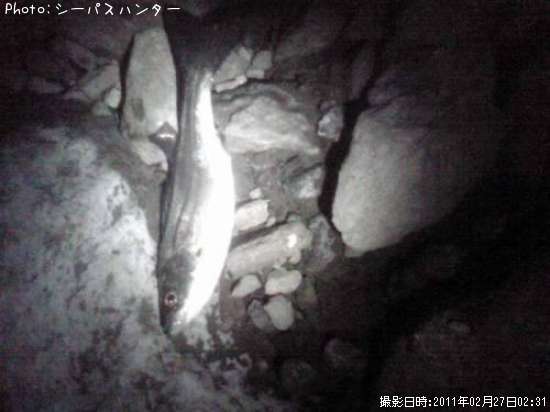 �����Х�