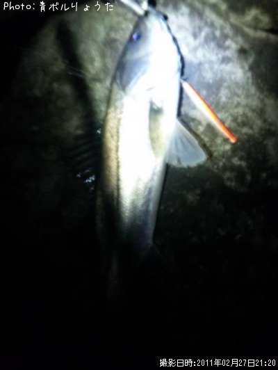 �����Х�