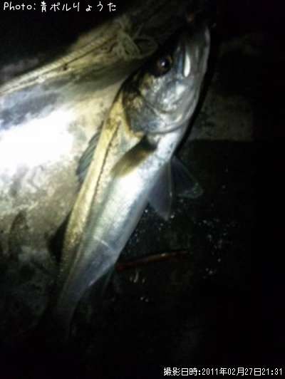 �����Х�