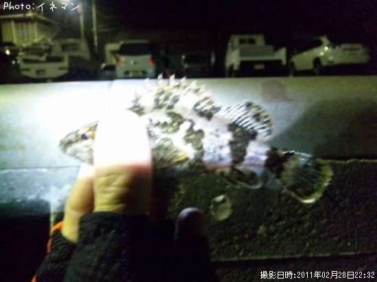 �����Υ���Х�