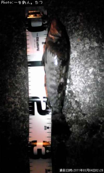 �����ʥ�