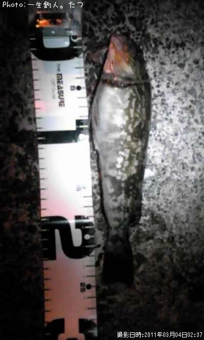 �����ʥ�