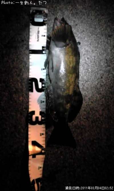 �����ʥ�