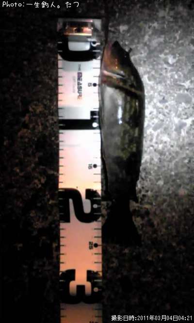 �����ʥ�