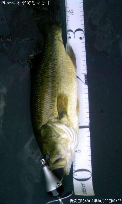 �֥�å��Х�