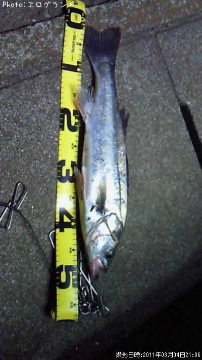 �����Х�