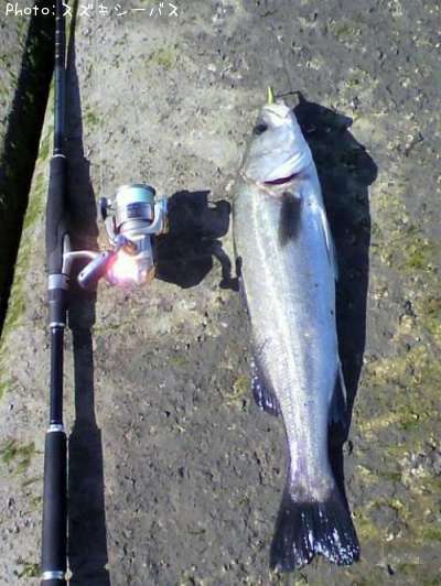 �����Х�