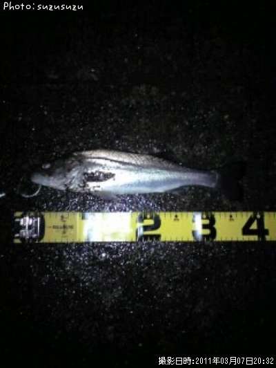 �����Х�