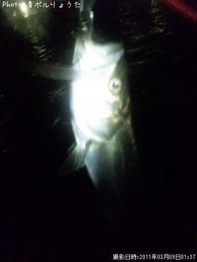 �����Х�