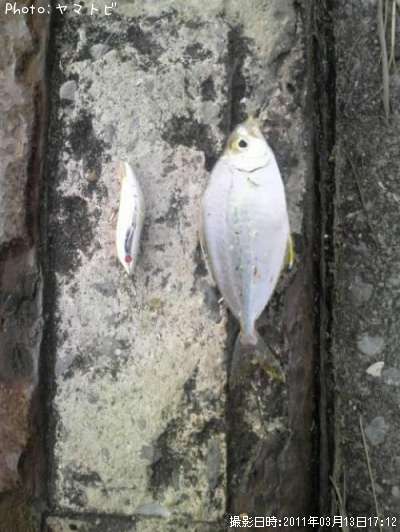 ����䥬����