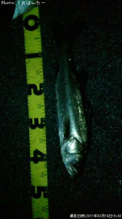 �����Х�