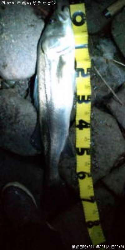 �����Х�