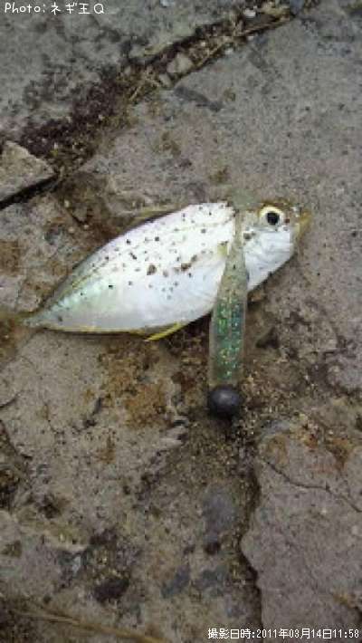 ����䥬����