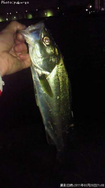 �����Х�