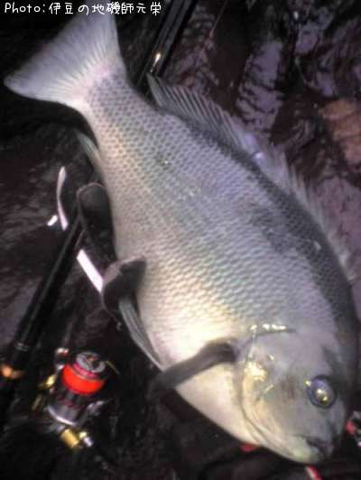 �����᥸��