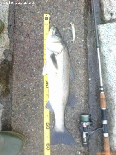 �����Х�