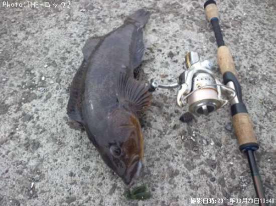 �����ʥ�