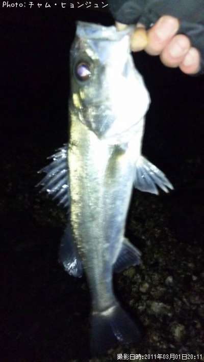 �����Х�