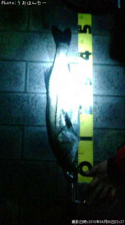 �����Х�