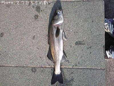 �����Х�