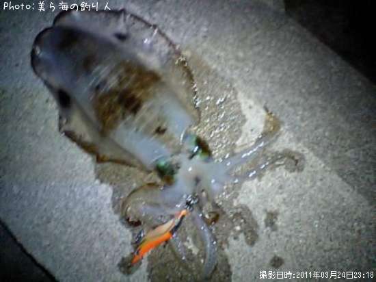 �����ꥤ��