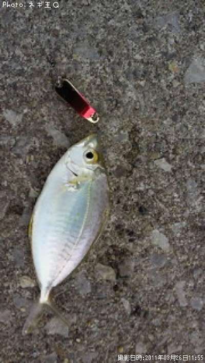 ����䥬����