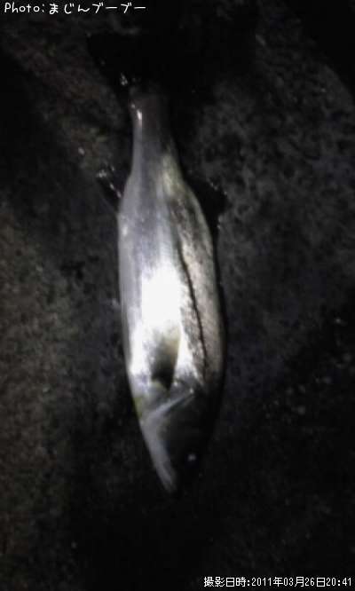 �����Х�