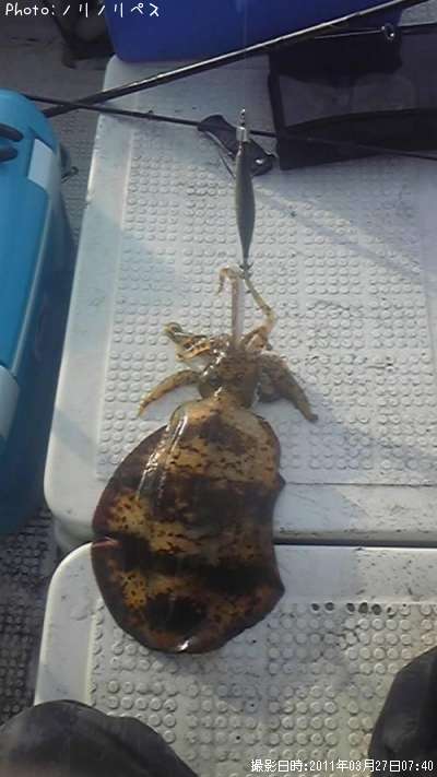 �����ꥤ��