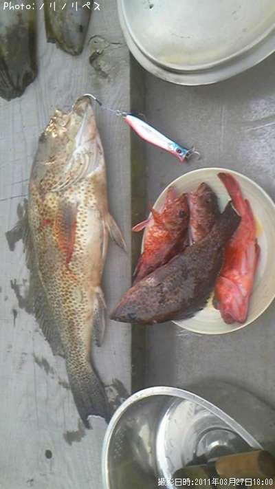 �����ϥ�