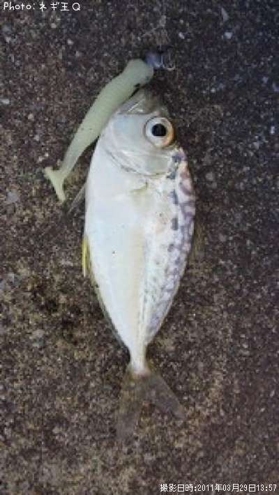 ����䥬����