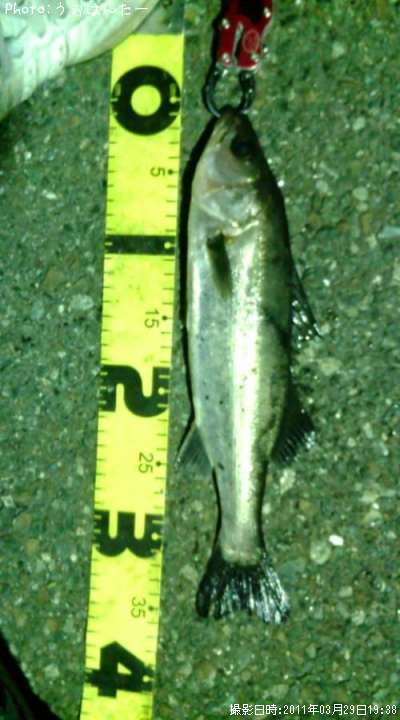 �����Х�