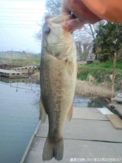 �֥�å��Х�