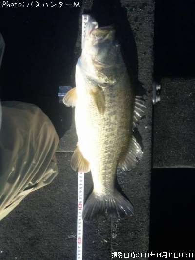 �֥�å��Х�