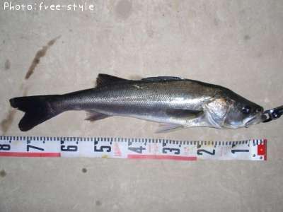 �����Х�