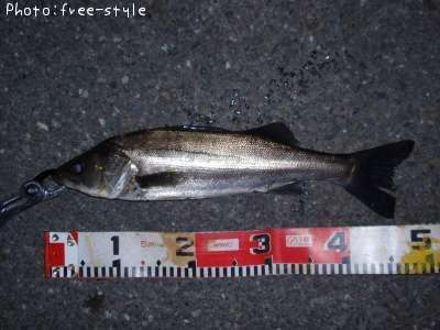 �����Х�