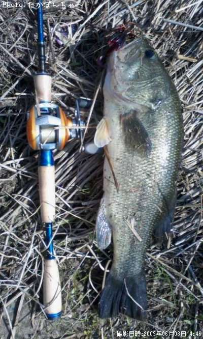 �֥�å��Х�