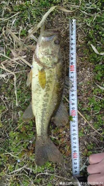 �֥�å��Х�