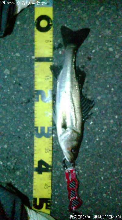 �����Х�