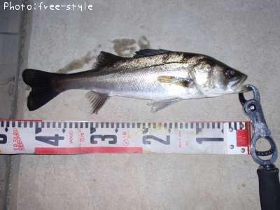 �����Х�