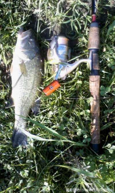 �֥�å��Х�