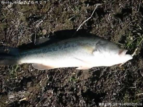 �֥�å��Х�