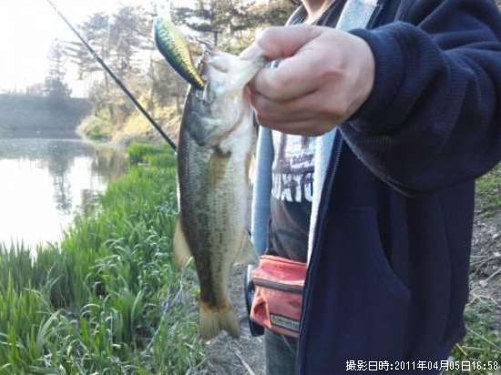 �֥�å��Х�